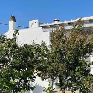 Alesta Apartment